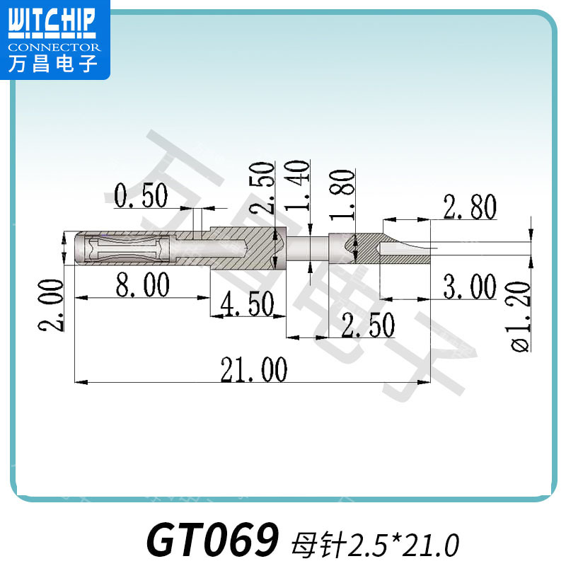 GT069-母针2.5×21.0 