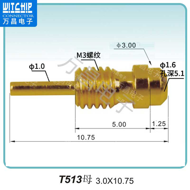 T513母针-3.0×10.75 