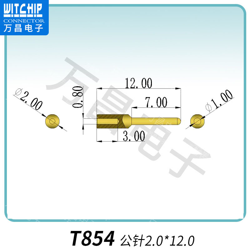 T854-公针2.0×12.0 